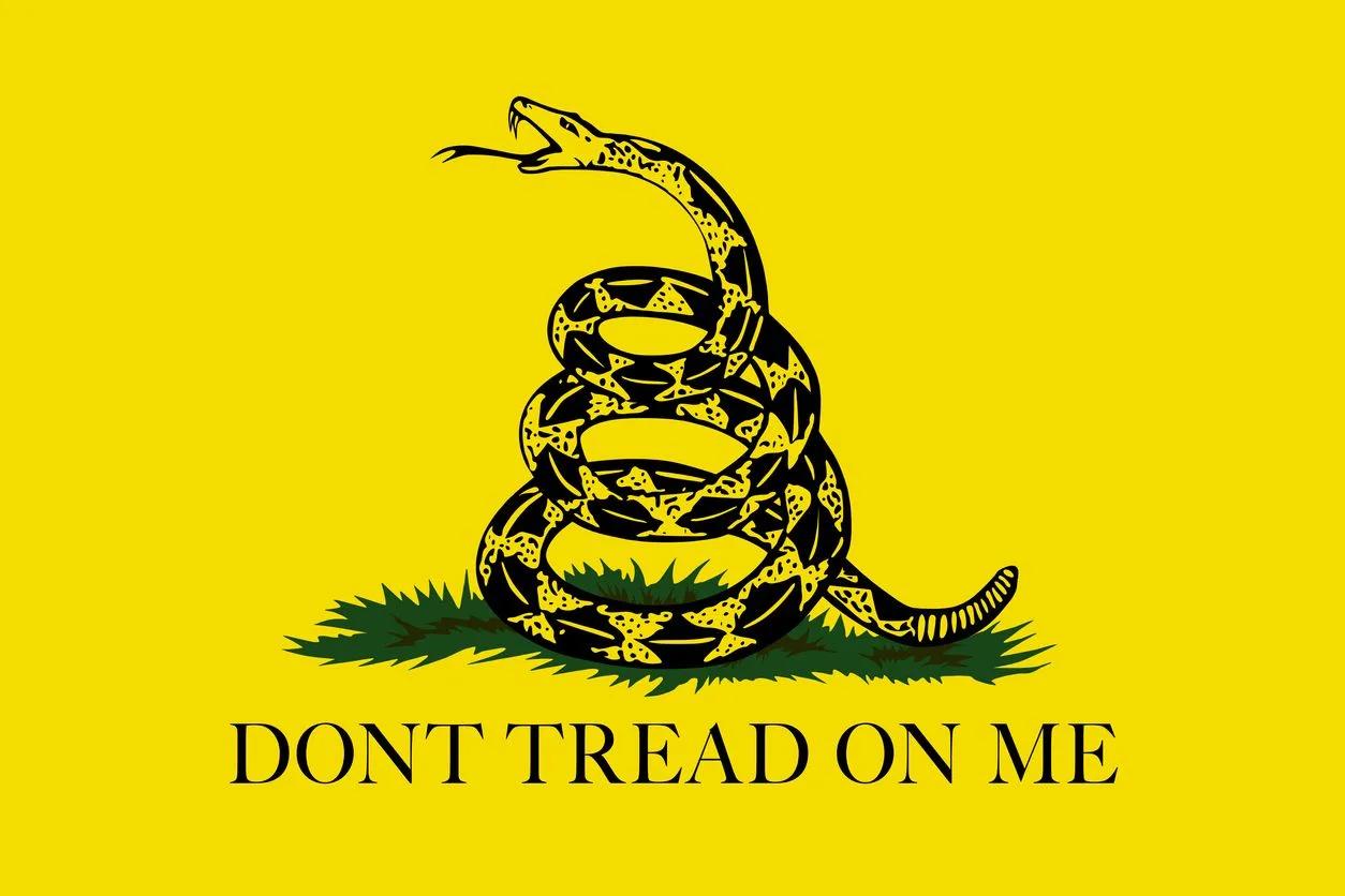 Student banned from displaying Gadsden flag patch at school vindicated