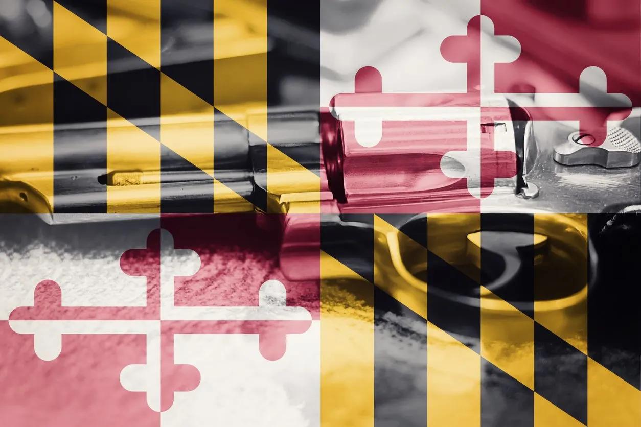 Court strikes down Maryland’s 10-year anti-gun law